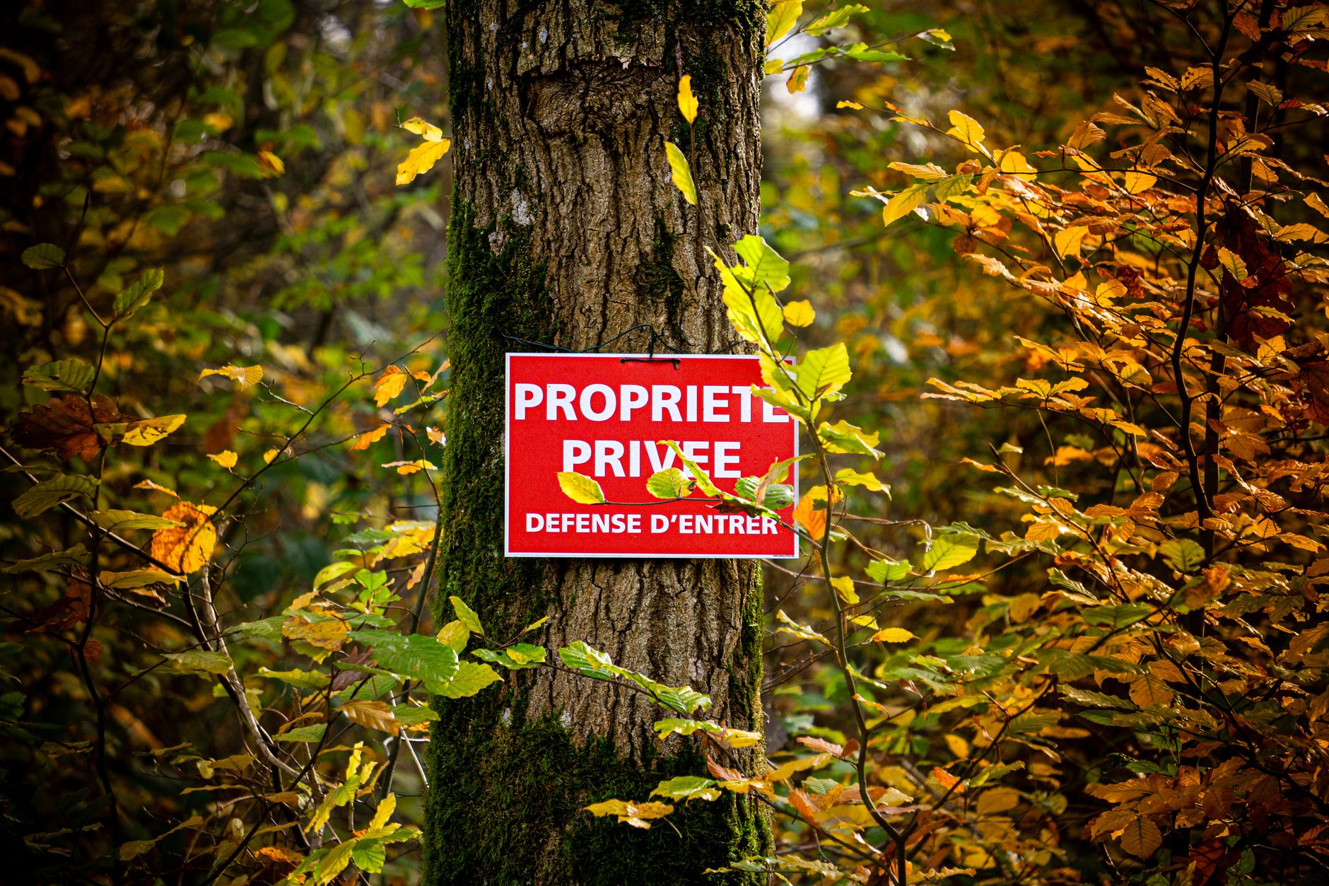 Détective privé à Chelles